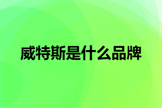 威特斯 WITESS是个什么品牌，这个品牌怎么样？