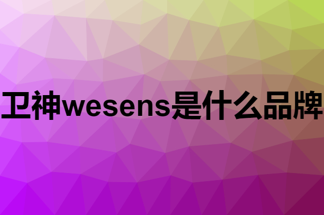 卫神 wesens是个什么品牌，这个品牌怎么样？