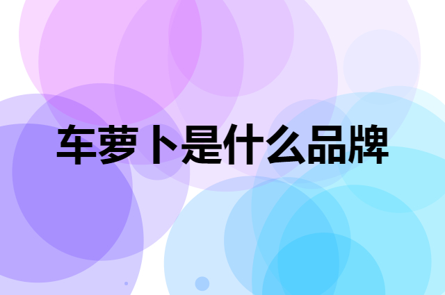 车萝卜 Carrobot是个什么品牌，这个品牌怎么样？
