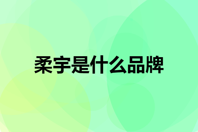 柔宇 ROYOLE是个什么品牌，这个品牌怎么样？
