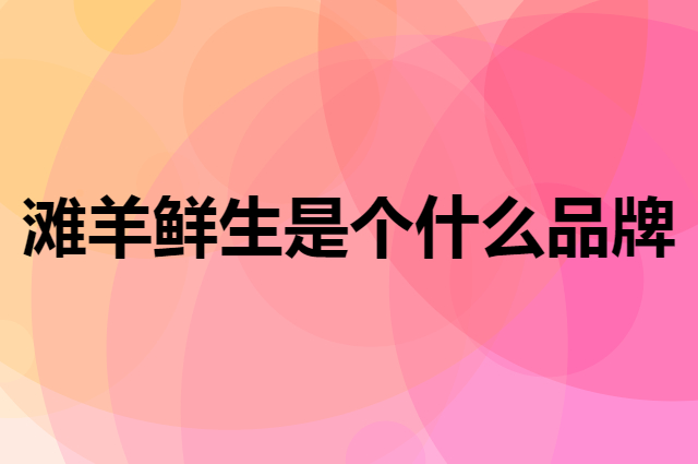 滩羊鲜生是个什么品牌，这个品牌怎么样？