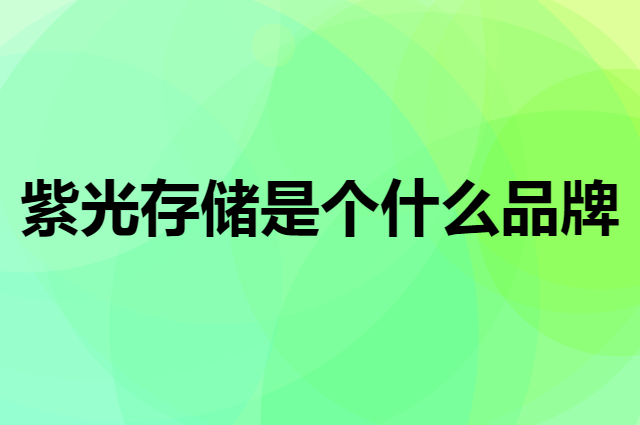 紫光存储 UNIC MEMORY是个什么品牌，这个品牌怎么样？