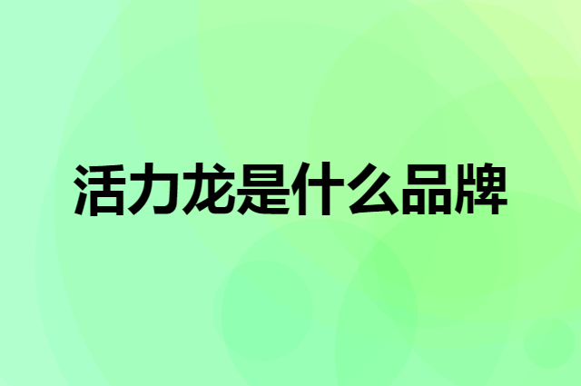 活力龙 Holelong是个什么品牌，这个品牌怎么样？