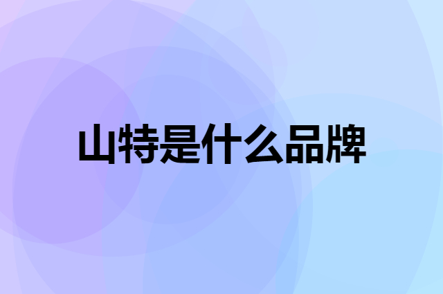山特 SANTAK是个什么品牌，这个品牌怎么样？