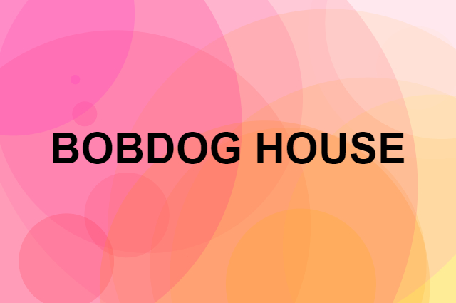 BOBDOG HOUSE是个什么品牌，这个品牌怎么样？