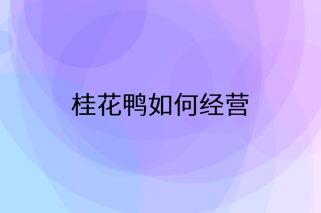 桂花鸭怎么做营销活动宣传，两个提升业绩的工具