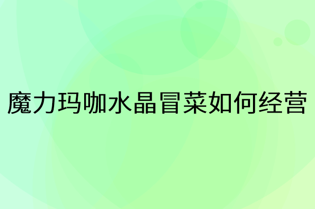 魔力玛咖水晶冒菜怎么做营销活动宣传，两个提升业绩的工具
