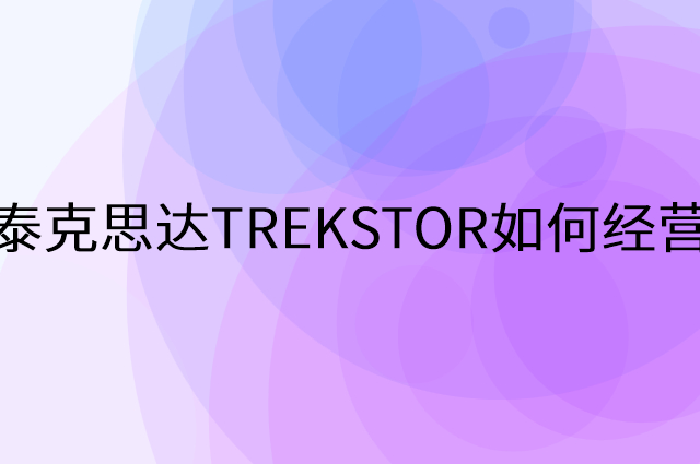 泰克思达TREKSTOR怎么做营销活动宣传，两个提升业绩的工具
