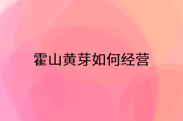 霍山黄芽怎么做营销活动宣传，两个提升业绩的工具