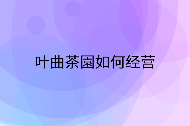 叶曲茶園怎么做营销活动宣传，两个提升业绩的工具