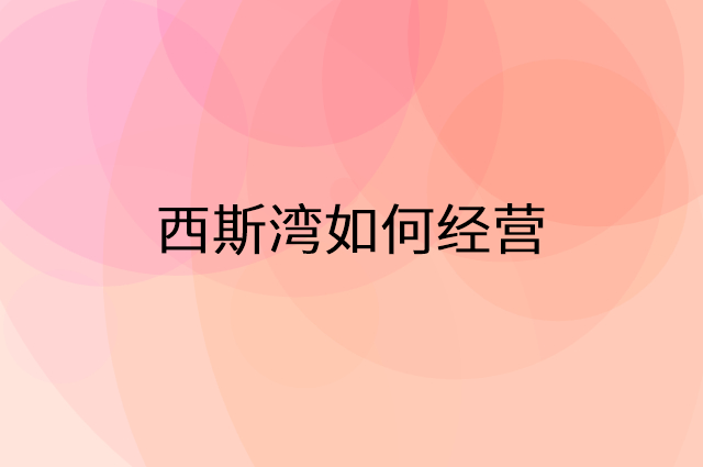 西斯湾怎么做营销活动宣传，两个提升业绩的工具