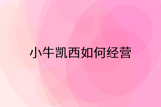 小牛凯西怎么做营销活动宣传，两个提升业绩的工具