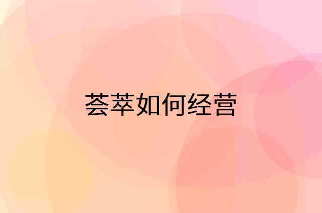 荟萃怎么做营销活动宣传，两个提升业绩的工具