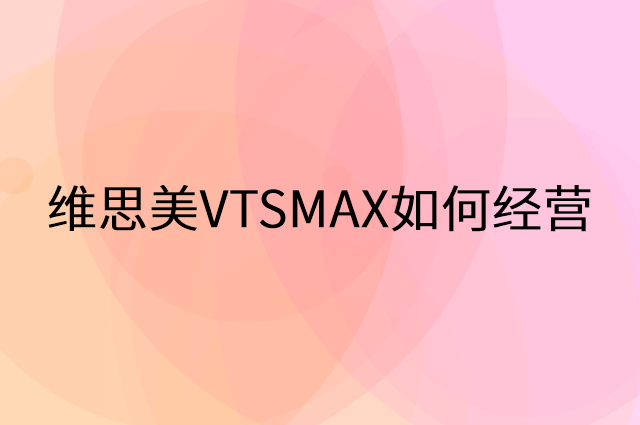 维思美VTSMAX怎么做营销活动宣传，两个提升业绩的工具