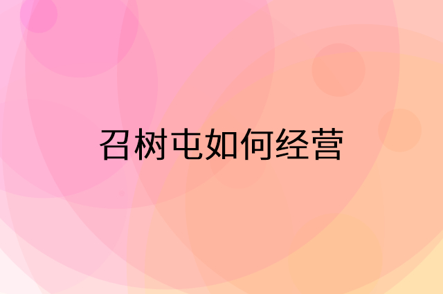 召树屯怎么做营销活动宣传，两个提升业绩的工具