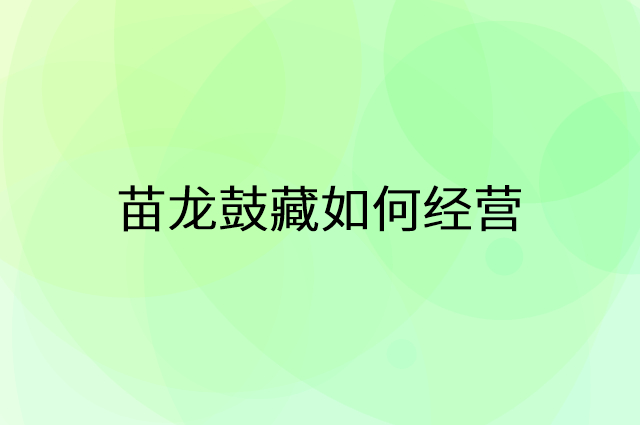 苗龙鼓藏怎么做营销活动宣传，两个提升业绩的工具
