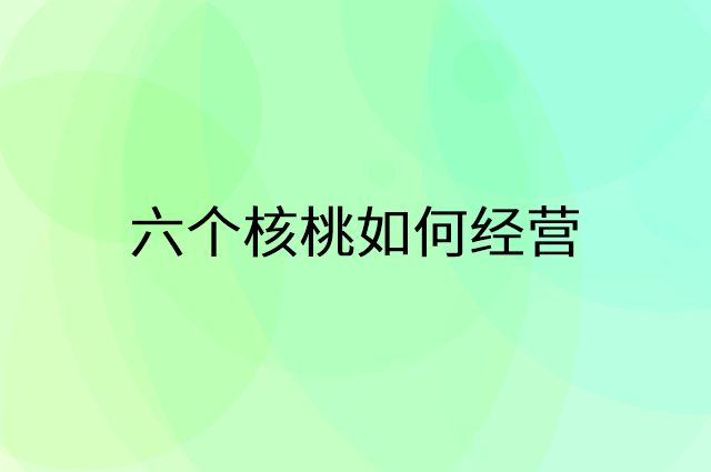 六个核桃怎么做营销活动宣传，两个提升业绩的工具