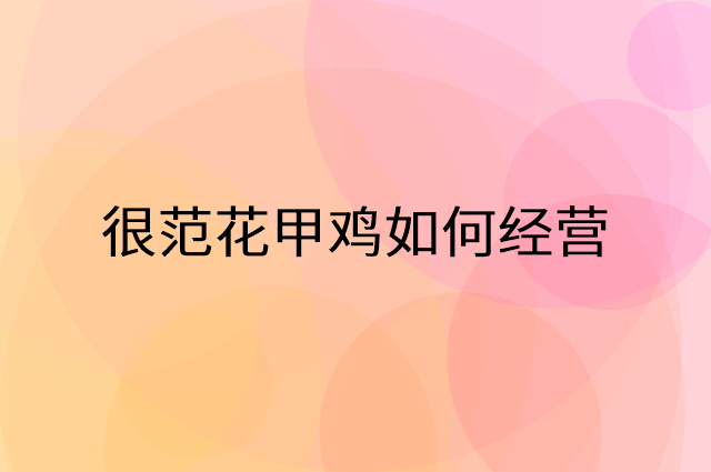 很范花甲鸡怎么做营销活动宣传，两个提升业绩的工具