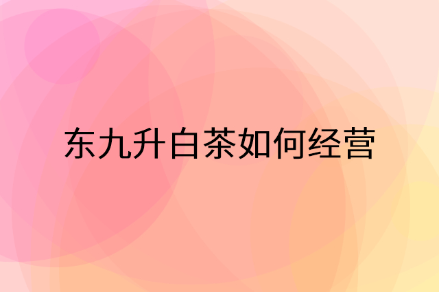 东九升白茶怎么做营销活动宣传，两个提升业绩的工具
