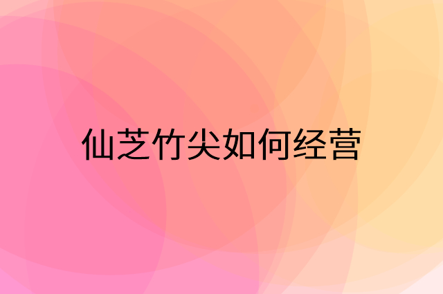 仙芝竹尖怎么做营销活动宣传，两个提升业绩的工具
