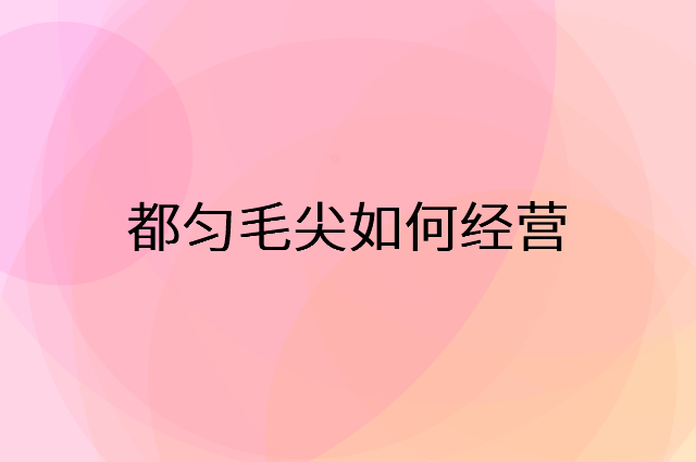 都匀毛尖怎么做营销活动宣传，两个提升业绩的工具