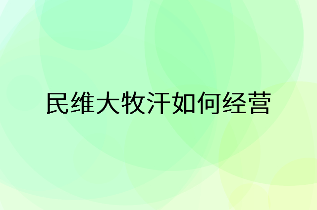 民维大牧汗怎么做营销活动宣传，两个提升业绩的工具