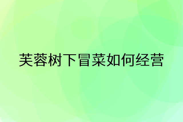芙蓉树下冒菜怎么做营销活动宣传，两个提升业绩的工具