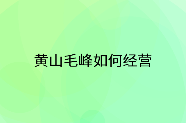 黄山毛峰怎么做营销活动宣传，两个提升业绩的工具