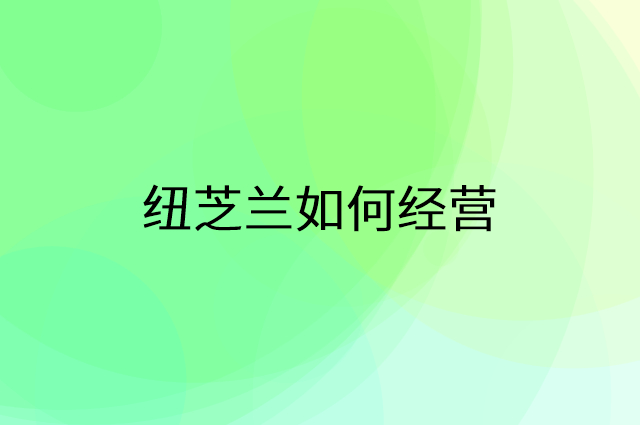 纽芝兰怎么做营销活动宣传，两个提升业绩的工具