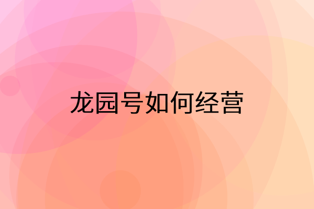 龙园号怎么做营销活动宣传，两个提升业绩的工具