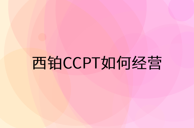 西铂CCPT怎么做营销活动宣传，两个提升业绩的工具