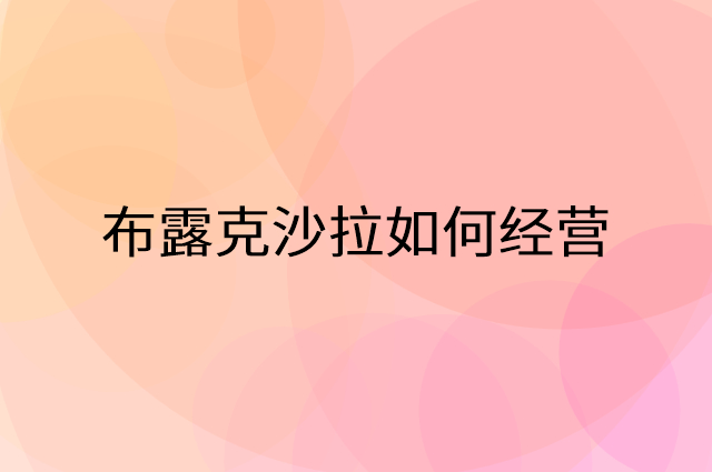 布露克沙拉怎么做营销活动宣传，两个提升业绩的工具