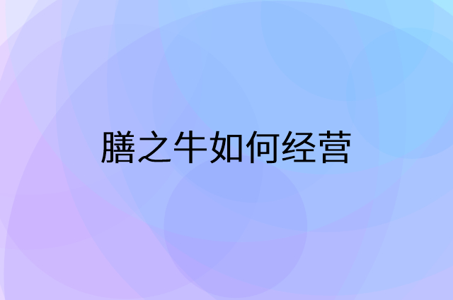 膳之牛怎么做营销活动宣传，两个提升业绩的工具