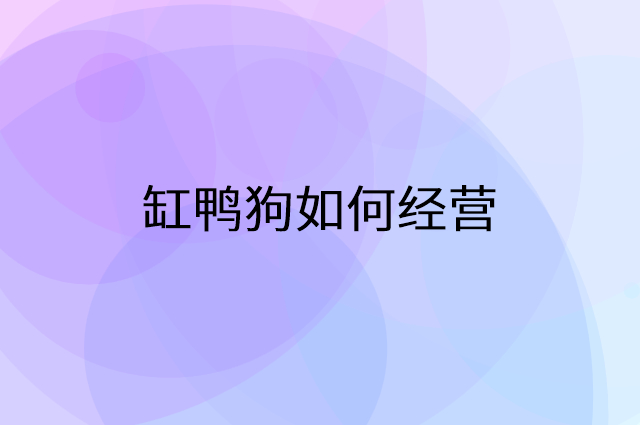 缸鸭狗怎么做营销活动宣传，两个提升业绩的工具