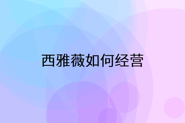 西雅薇怎么做营销活动宣传，两个提升业绩的工具