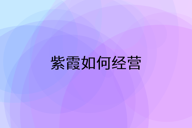 紫霞怎么做营销活动宣传，两个提升业绩的工具