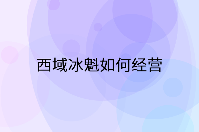 西域冰魁怎么做营销活动宣传，两个提升业绩的工具