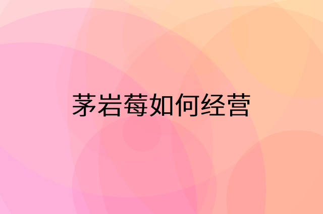 茅岩莓怎么做营销活动宣传，两个提升业绩的工具
